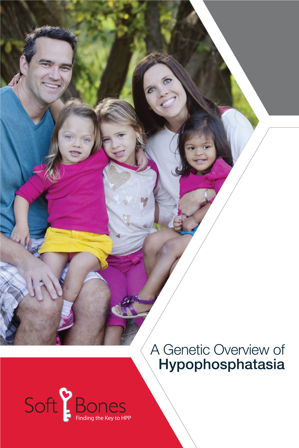 A Genetic Overview of Hypophosphatasia a Background in Genetics