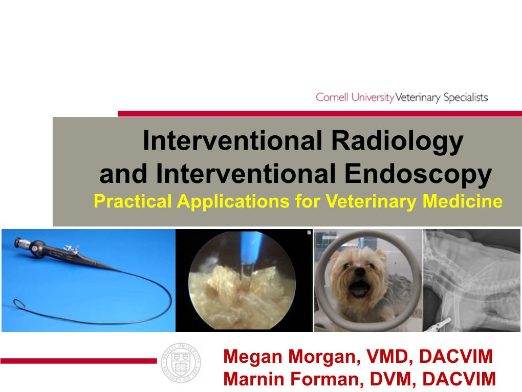 Interventional Radiology and Interventional Endoscopy Practical Applications for Veterinary Medicine