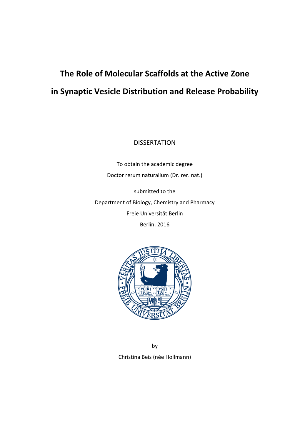 The Role of Molecular Scaffolds at the Active Zone in Synaptic Vesicle Distribution and Release Probability