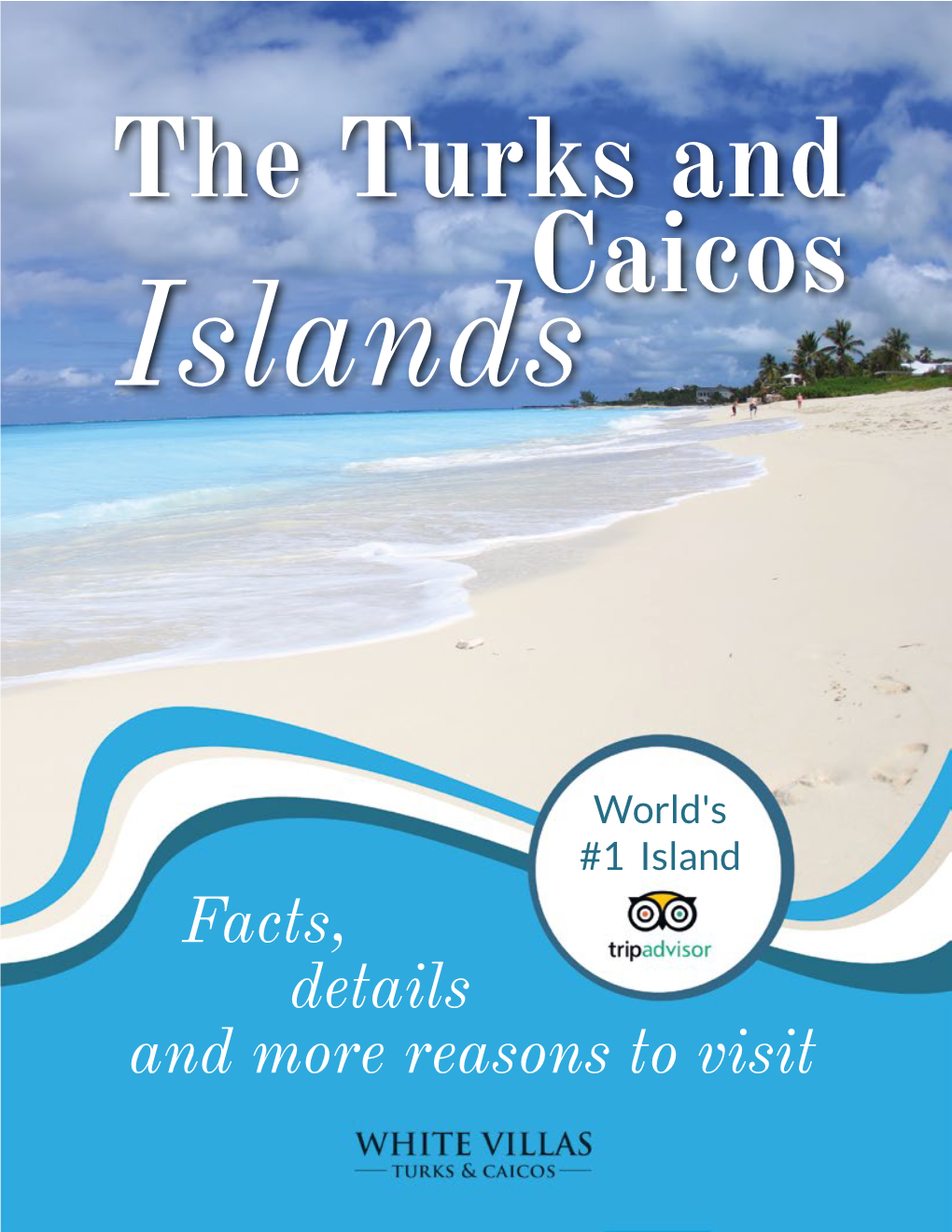 TCI: Facts, Details and More Reasons to Visit