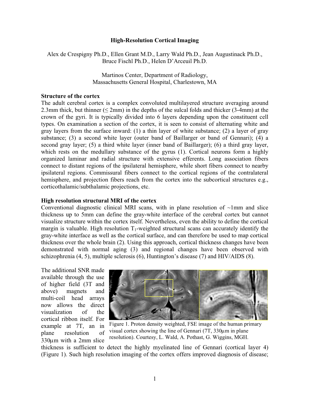 High-Resolution Cortical Imaging