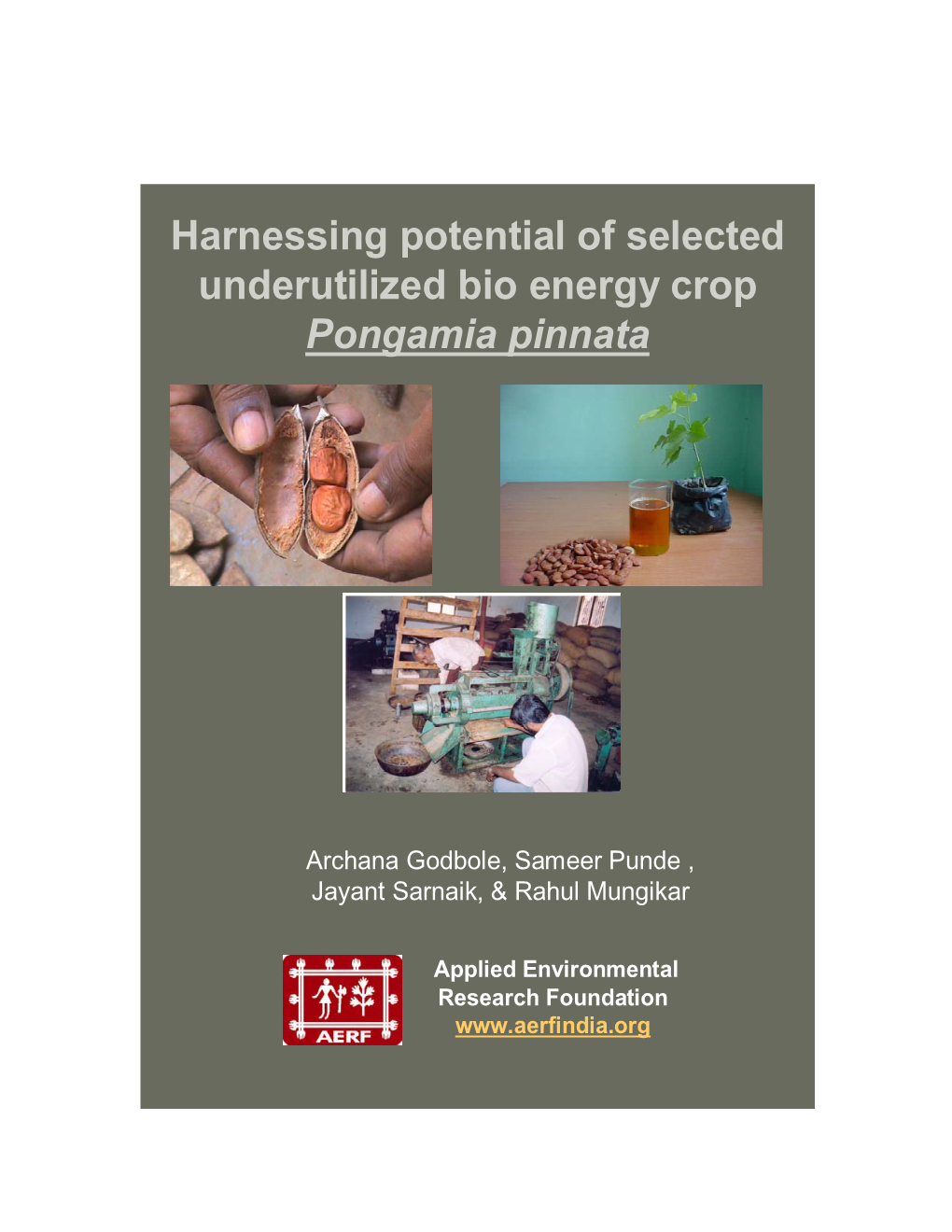 Harnessing Potential of Selected Underutilized Bio Energy Crop Pongamia Pinnata