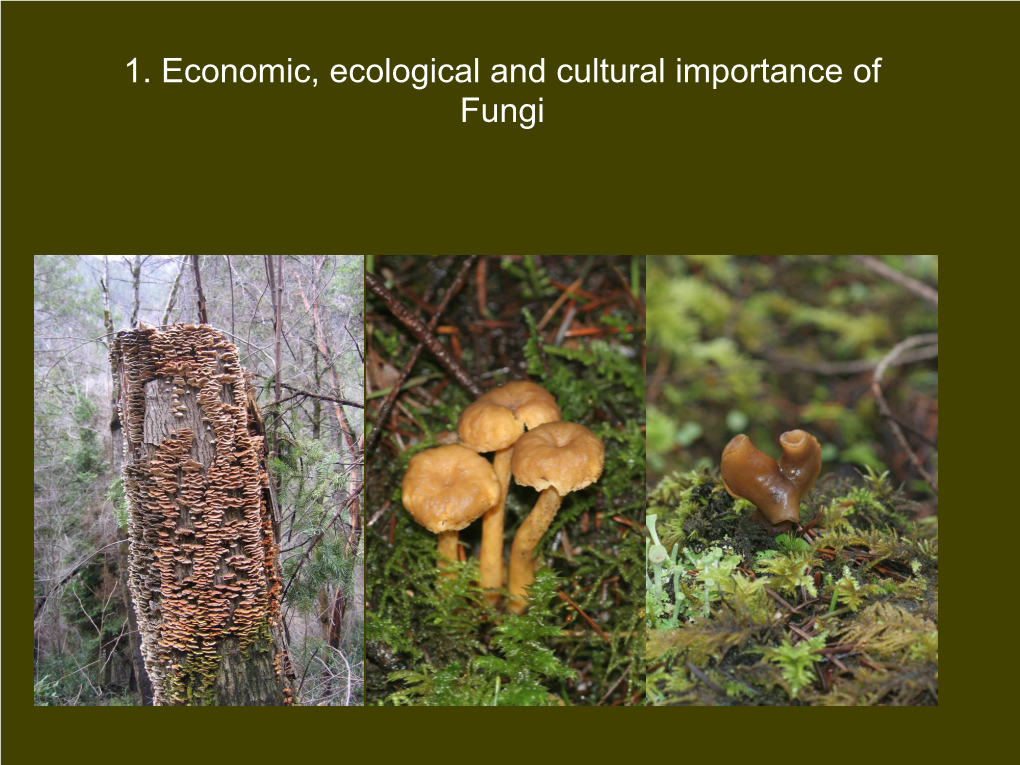 1. Economic, Ecological and Cultural Importance of Fungi