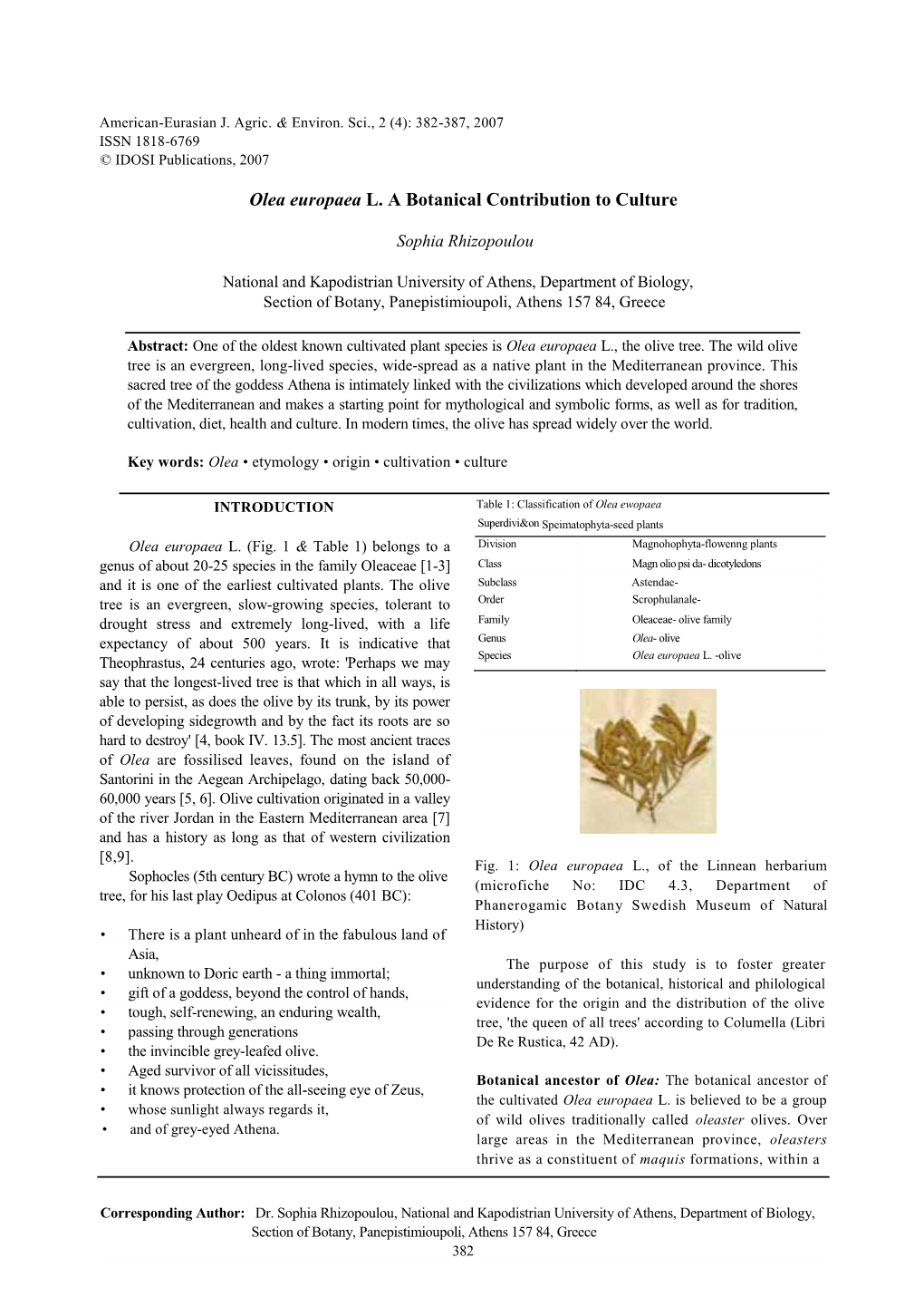 Olea Europaea L. a Botanical Contribution to Culture