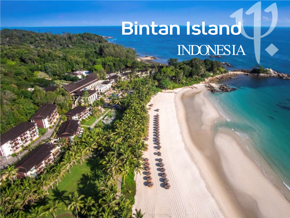 Bintan Island INDONESIA the Island of Bintan, South of Singapore Is Full of History, Marked by Fallen Empires and the Spice Trade