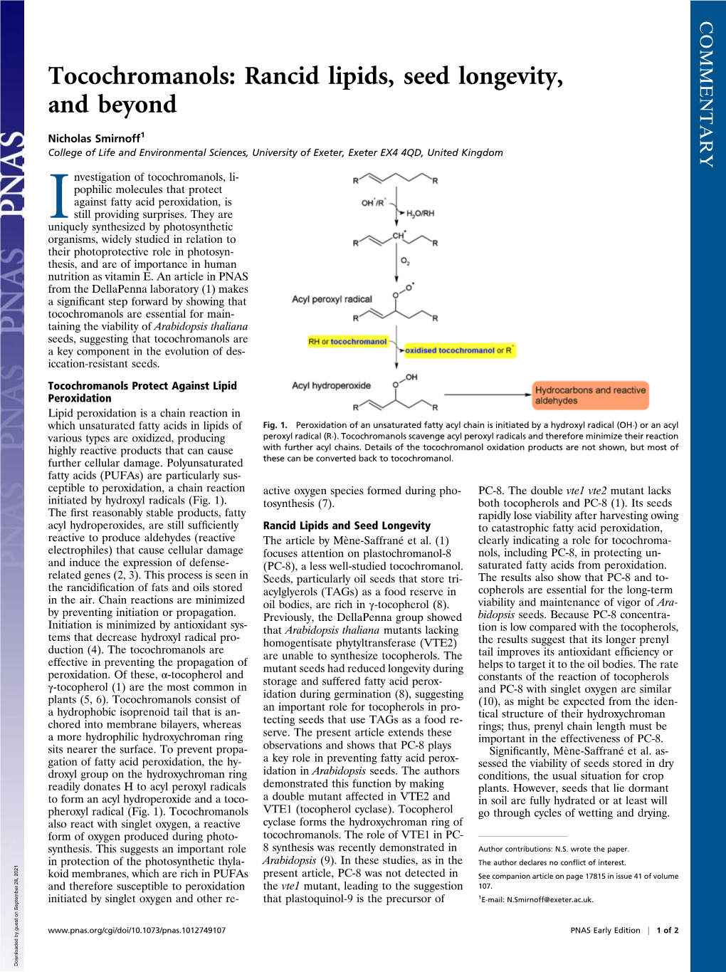 Tocochromanols: Rancid Lipids, Seed Longevity, and Beyond