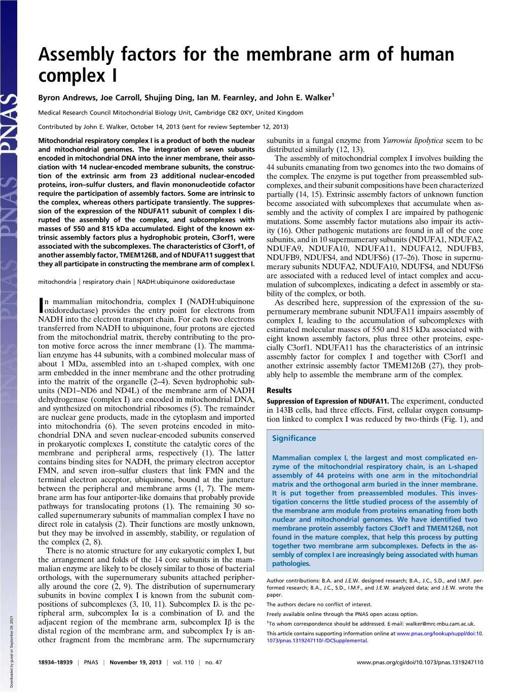 Assembly Factors for the Membrane Arm of Human Complex I