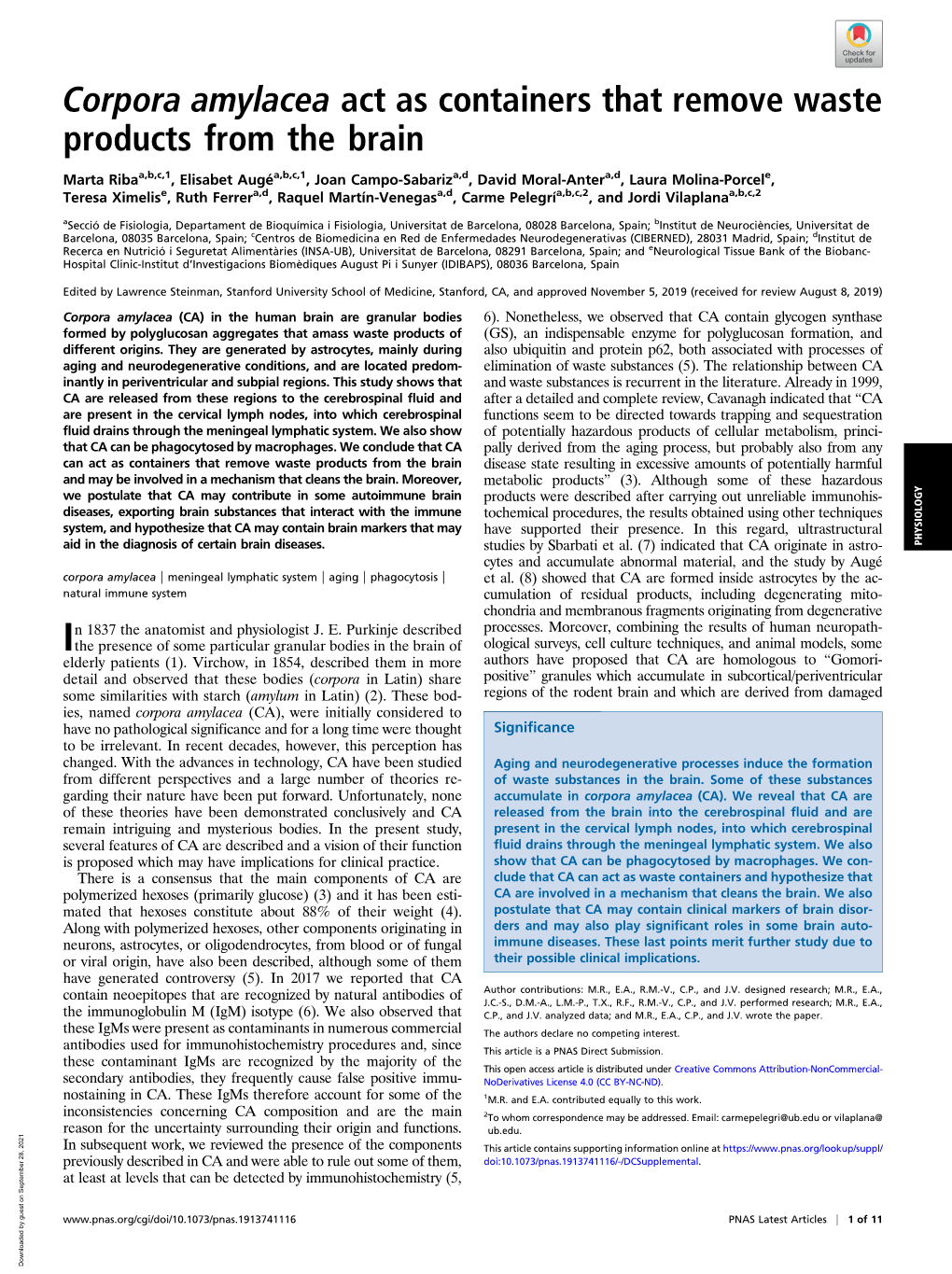 Corpora Amylacea Act As Containers That Remove Waste Products from the Brain