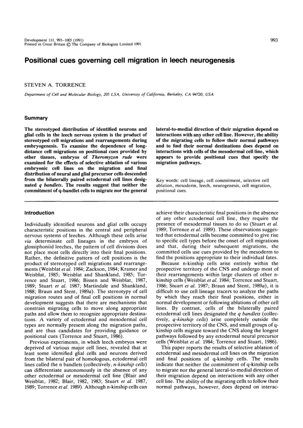 Positional Cues Governing Cell Migration in Leech Neurogenesis