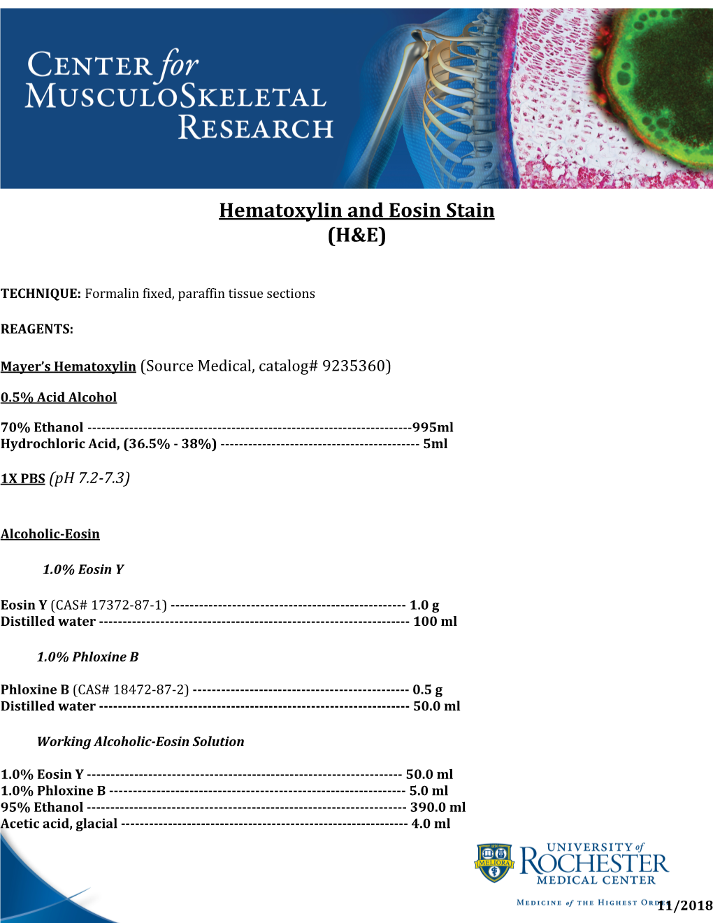 Hematoxylin and Eosin Stain (H&E)