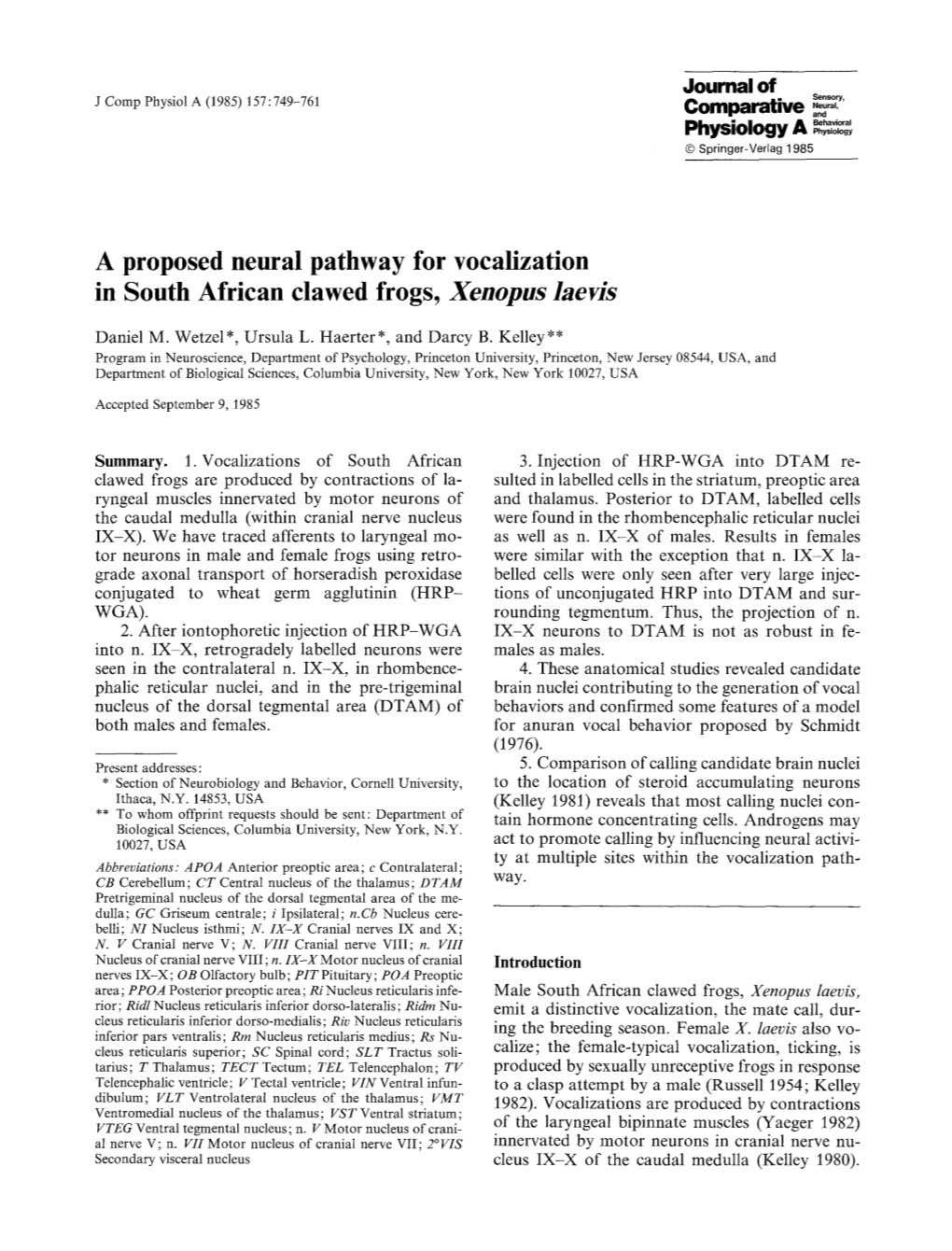 A Proposed Neural Pathway for Vocalization in South African Clawed Frogs, Xenopus Laevis