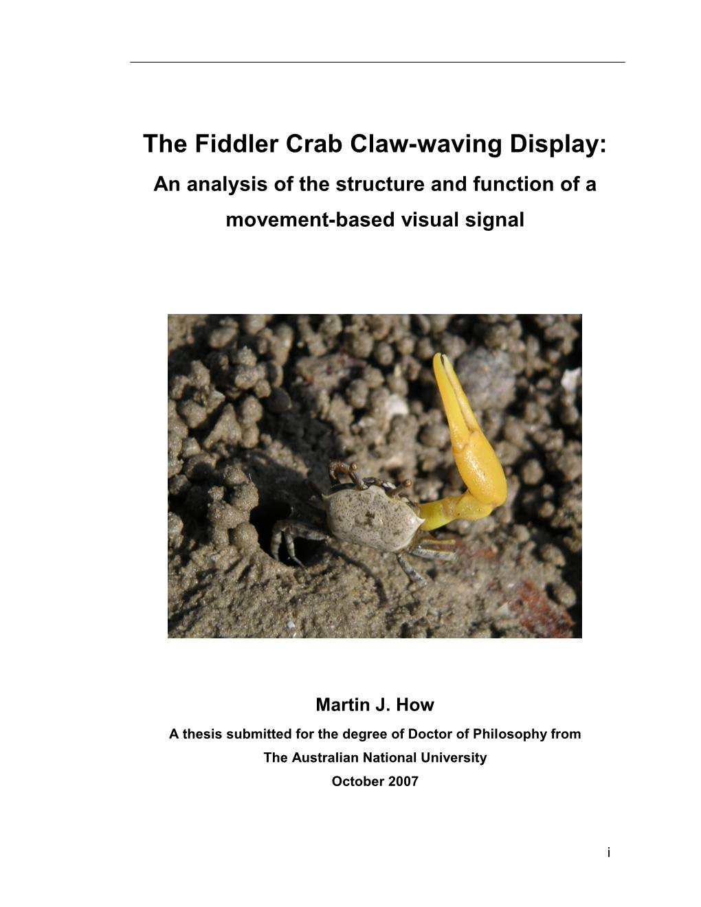 The Fiddler Crab Claw-Waving Display