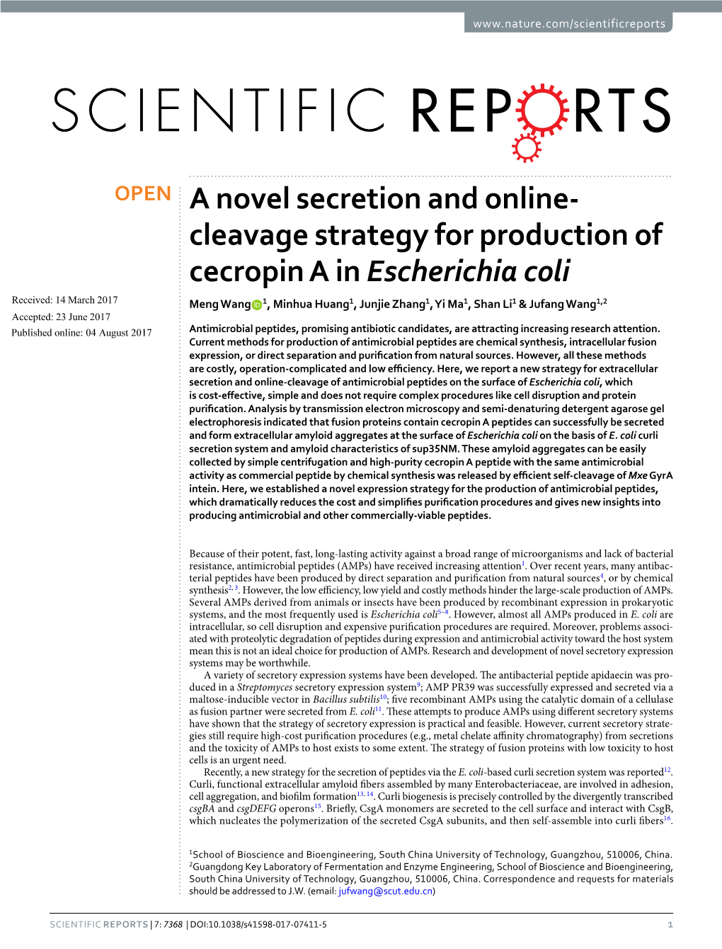 A Novel Secretion and Online-Cleavage Strategy for Production of Cecropin a in Escherichia Coli