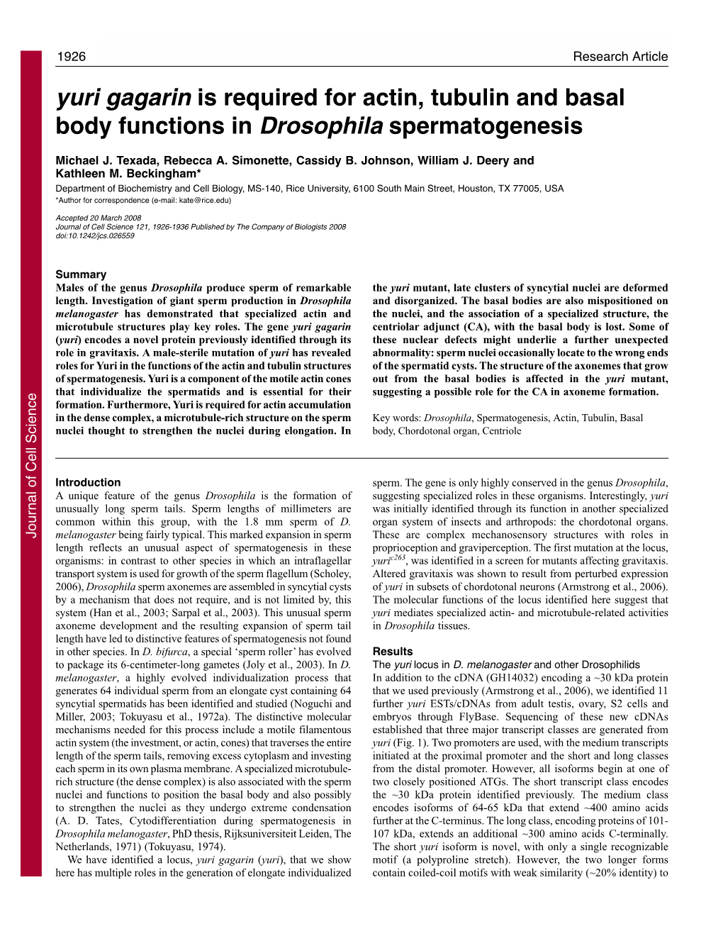 Yuri Gagarin Is Required for Actin, Tubulin and Basal Body Functions in Drosophila Spermatogenesis