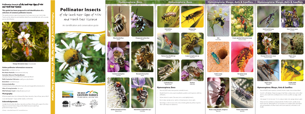 Pollinators Full.Pdf