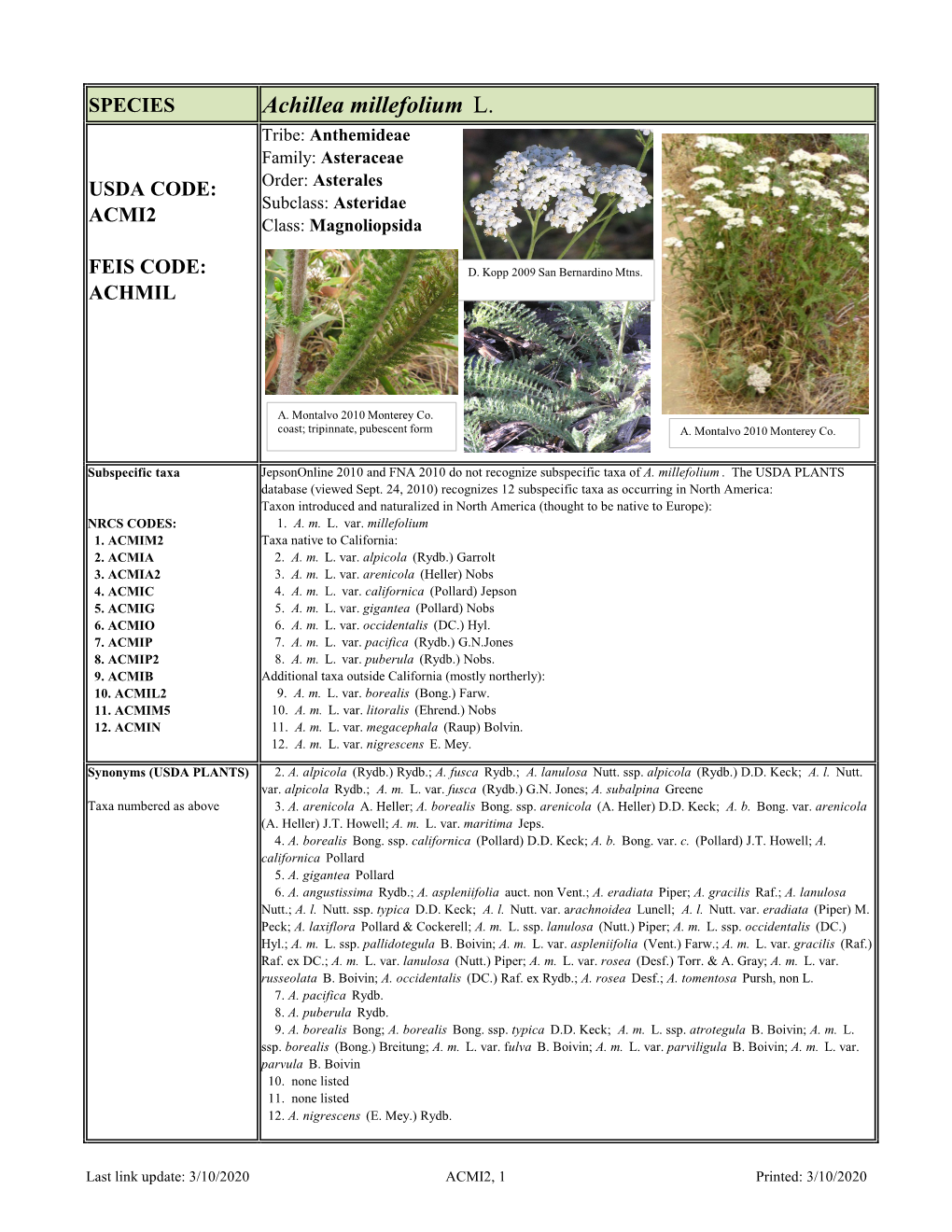 Achillea Millefolium L