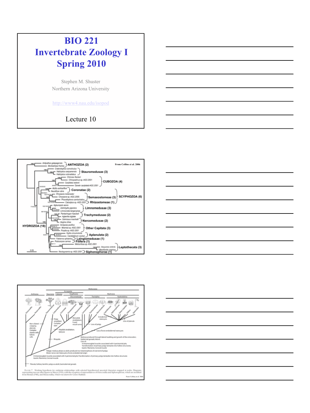 BIO 221 Invertebrate Zoology I Spring 2010