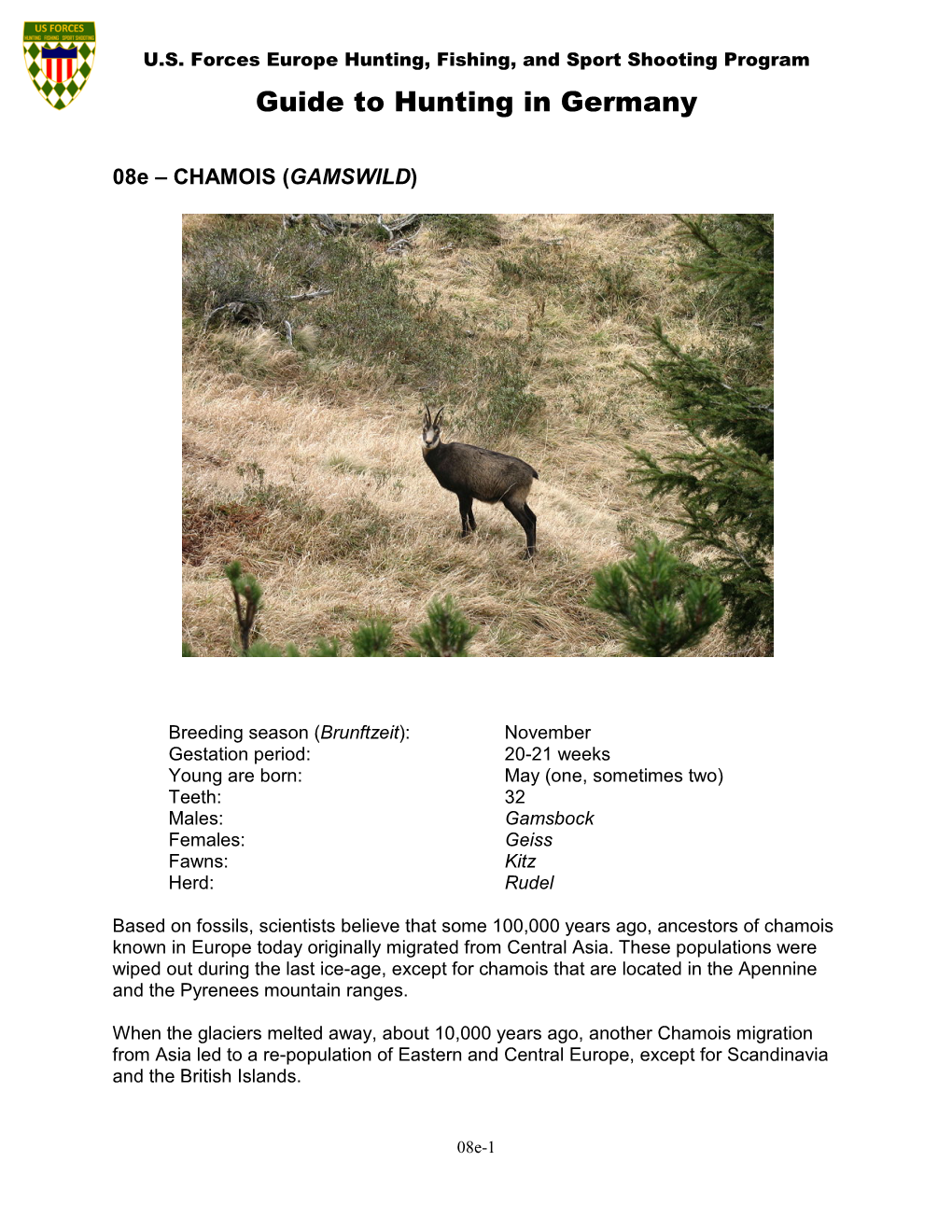 08E – CHAMOIS (GAMSWILD)