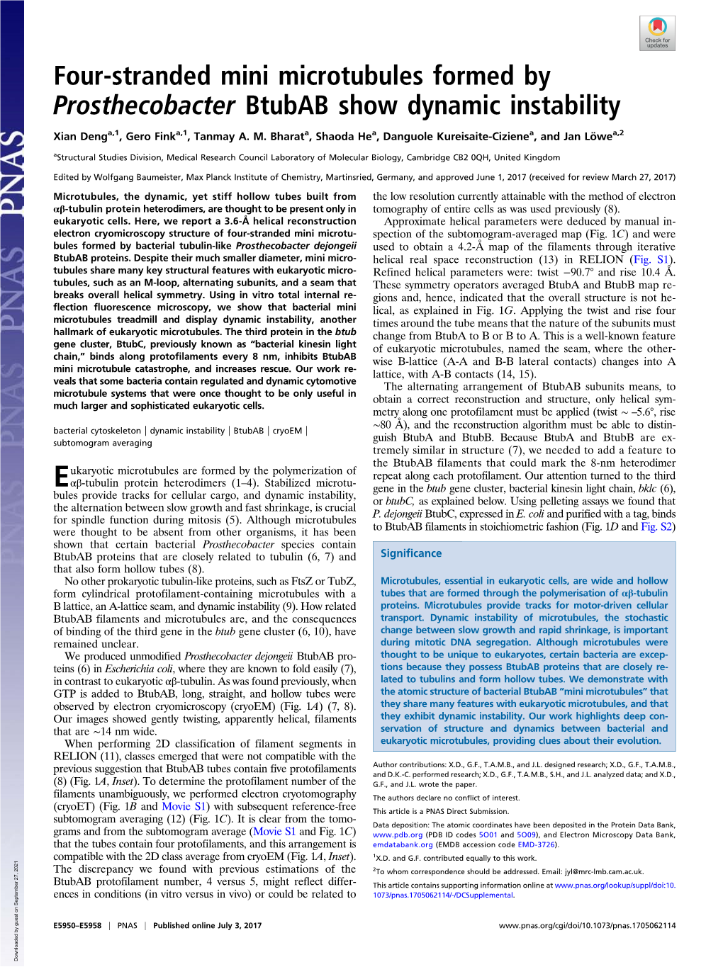 Four-Stranded Mini Microtubules Formed by Prosthecobacter Btubab Show Dynamic Instability