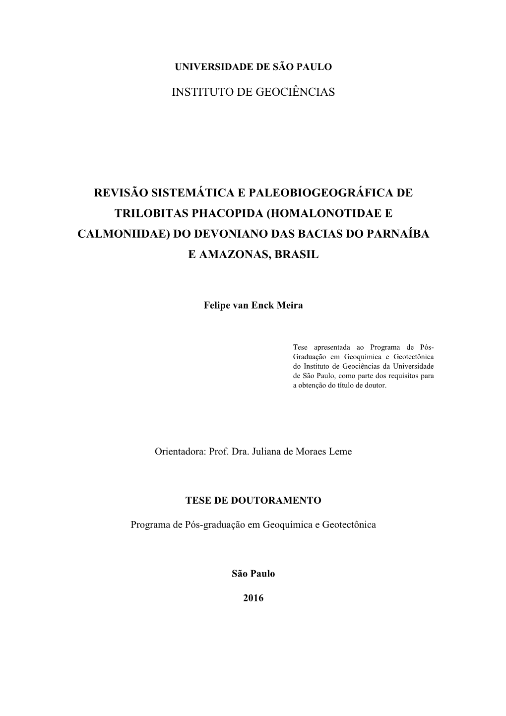 Instituto De Geociências Revisão Sistemática E