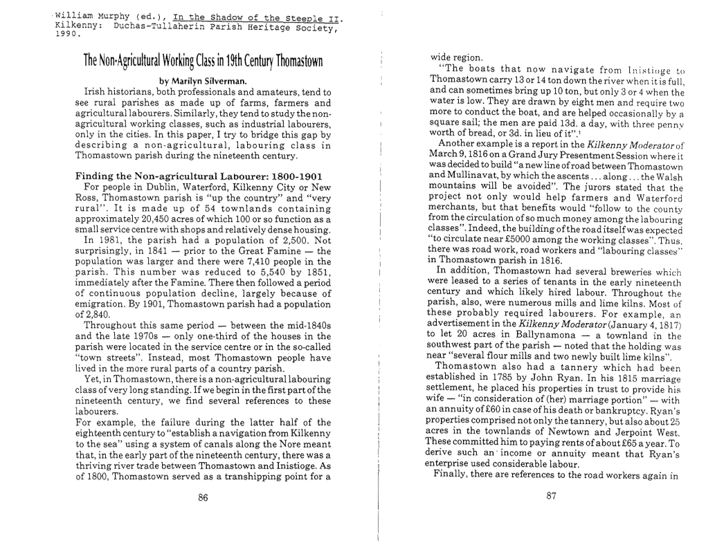 The Non·Agricultural Working Class in 19Th Century Thomastown Wide Region