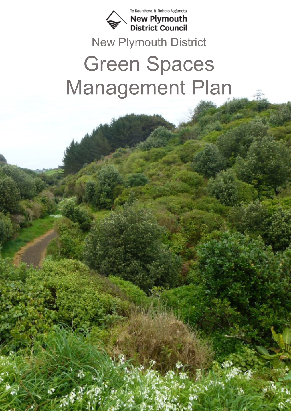 Green Spaces Management Plan