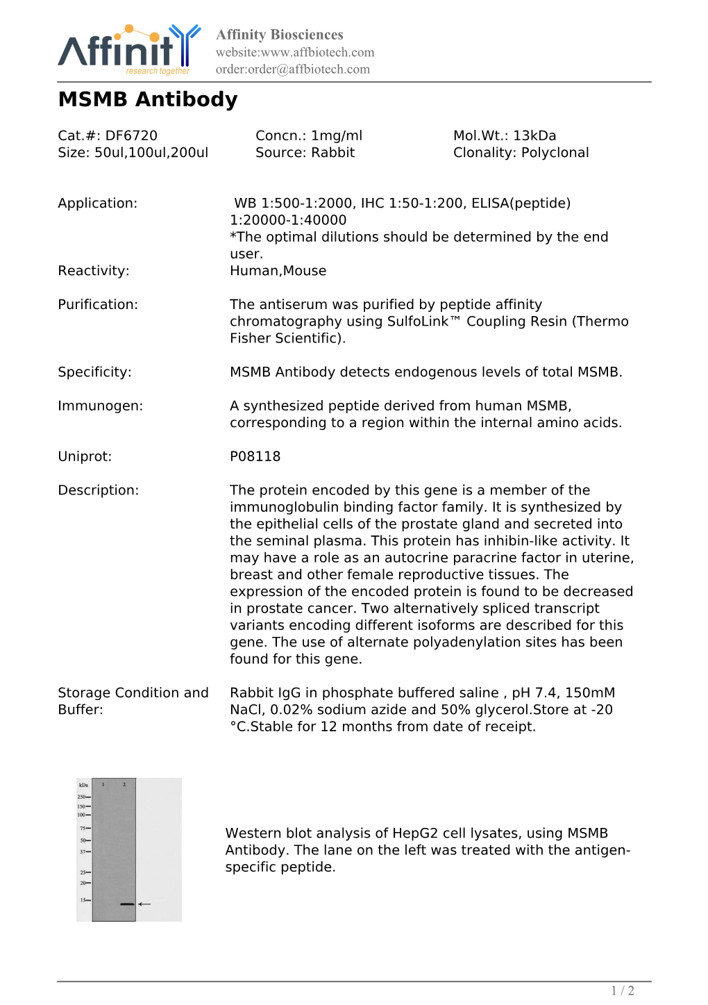 DF6720-MSMB Antibody