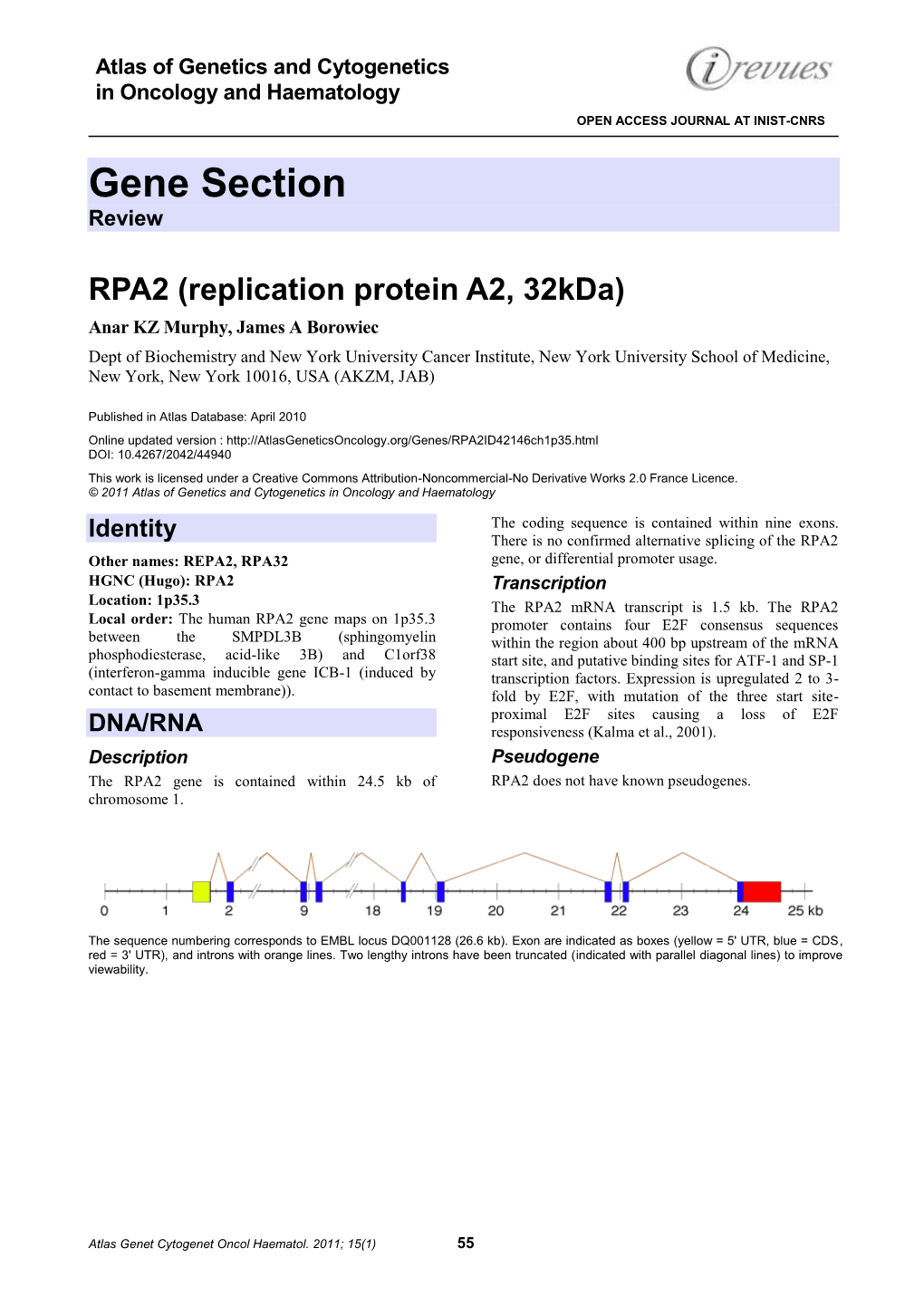 Gene Section Review