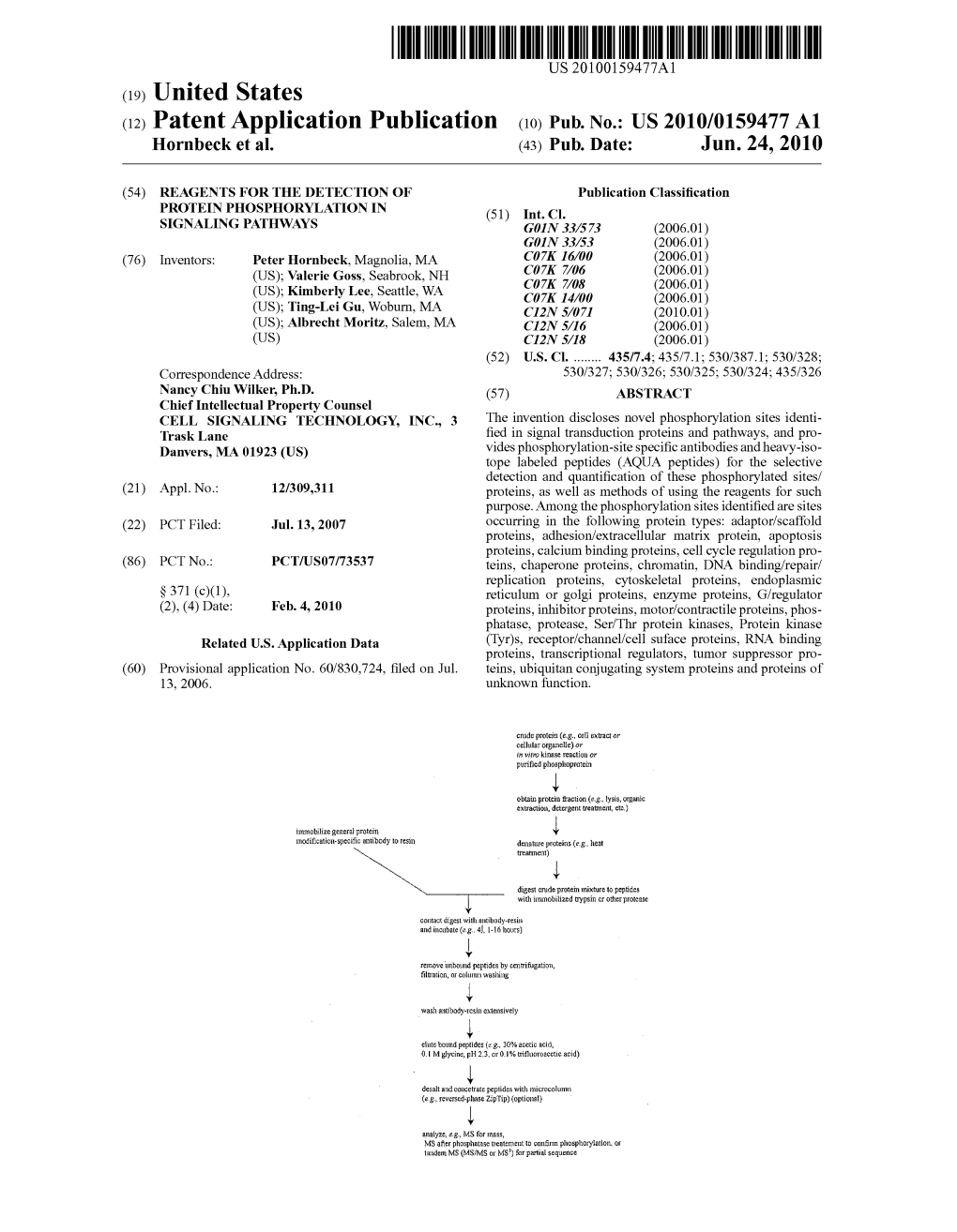 (12) Patent Application Publication (10) Pub. No.: US 2010/0159477 A1 Hornbeck Et Al