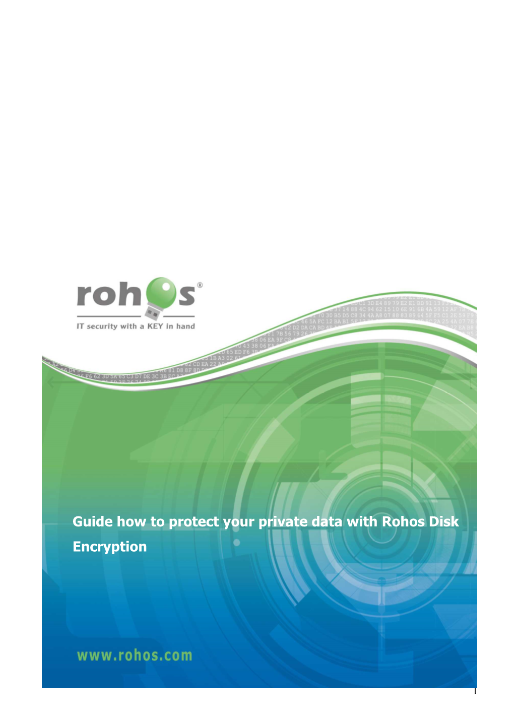 Guide How to Protect Your Private Data with Rohos Disk Encryption