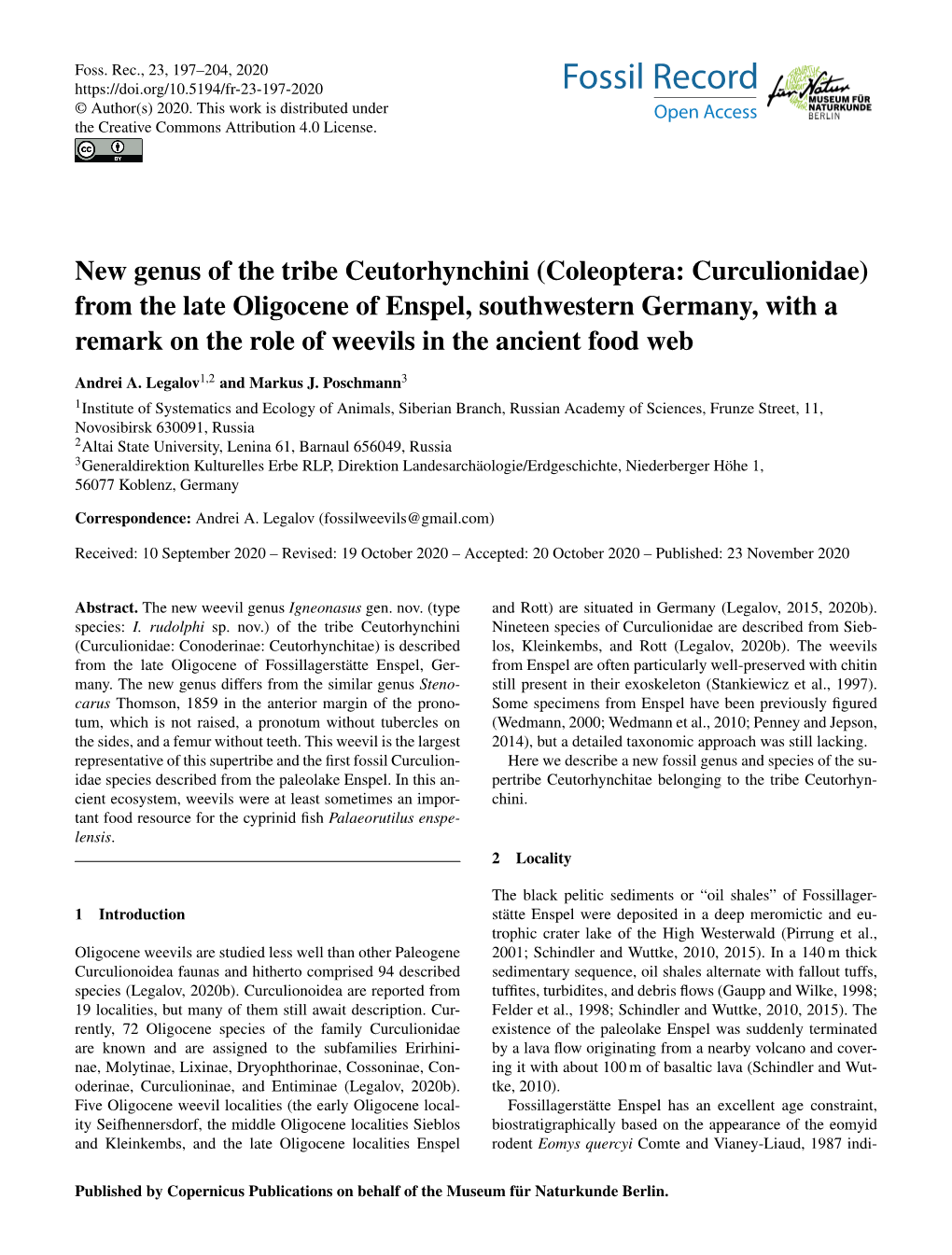 New Genus of the Tribe Ceutorhynchini (Coleoptera: Curculionidae) from the Late Oligocene of Enspel, Southwestern Germany, With