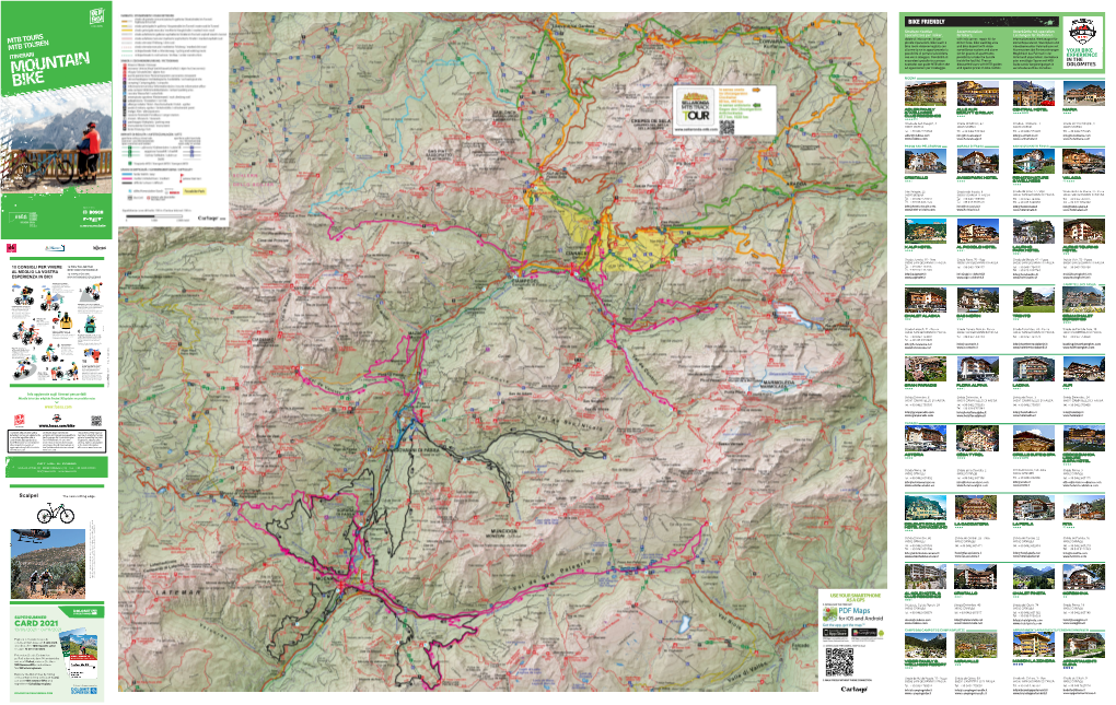 Mountain Bike Con 1 Sola Card, Accedi a Oltre 100 Impianti Estivi E Scopri 12 Aree Vacanza