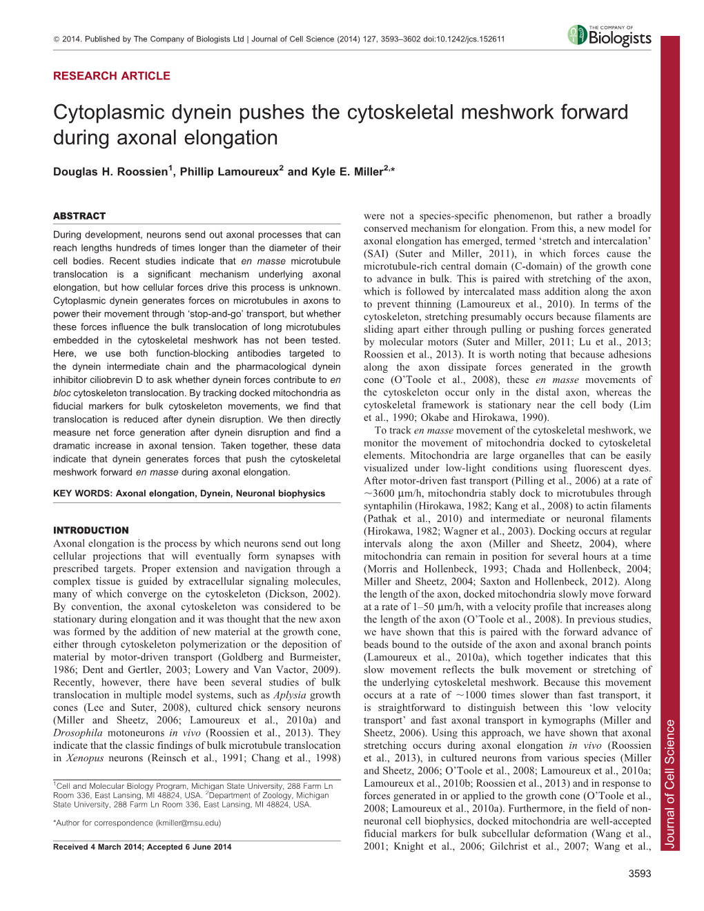 Cytoplasmic Dynein Pushes the Cytoskeletal Meshwork Forward During Axonal Elongation