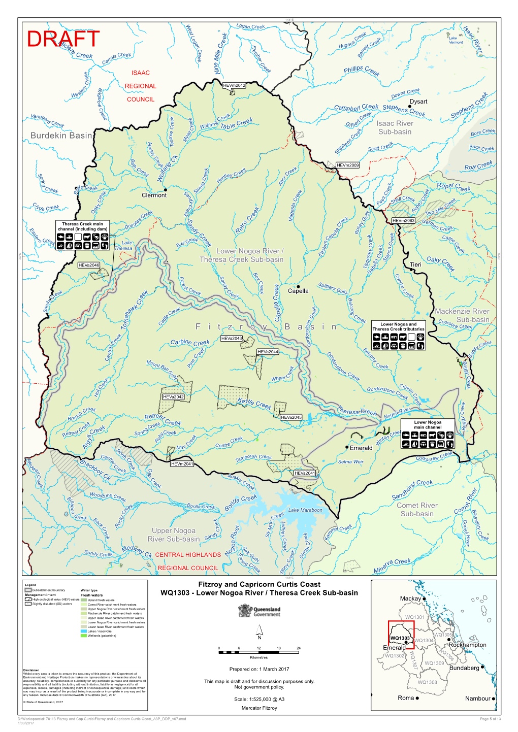 Lower Nogoa River / Theresa Creek Sub-Basin !