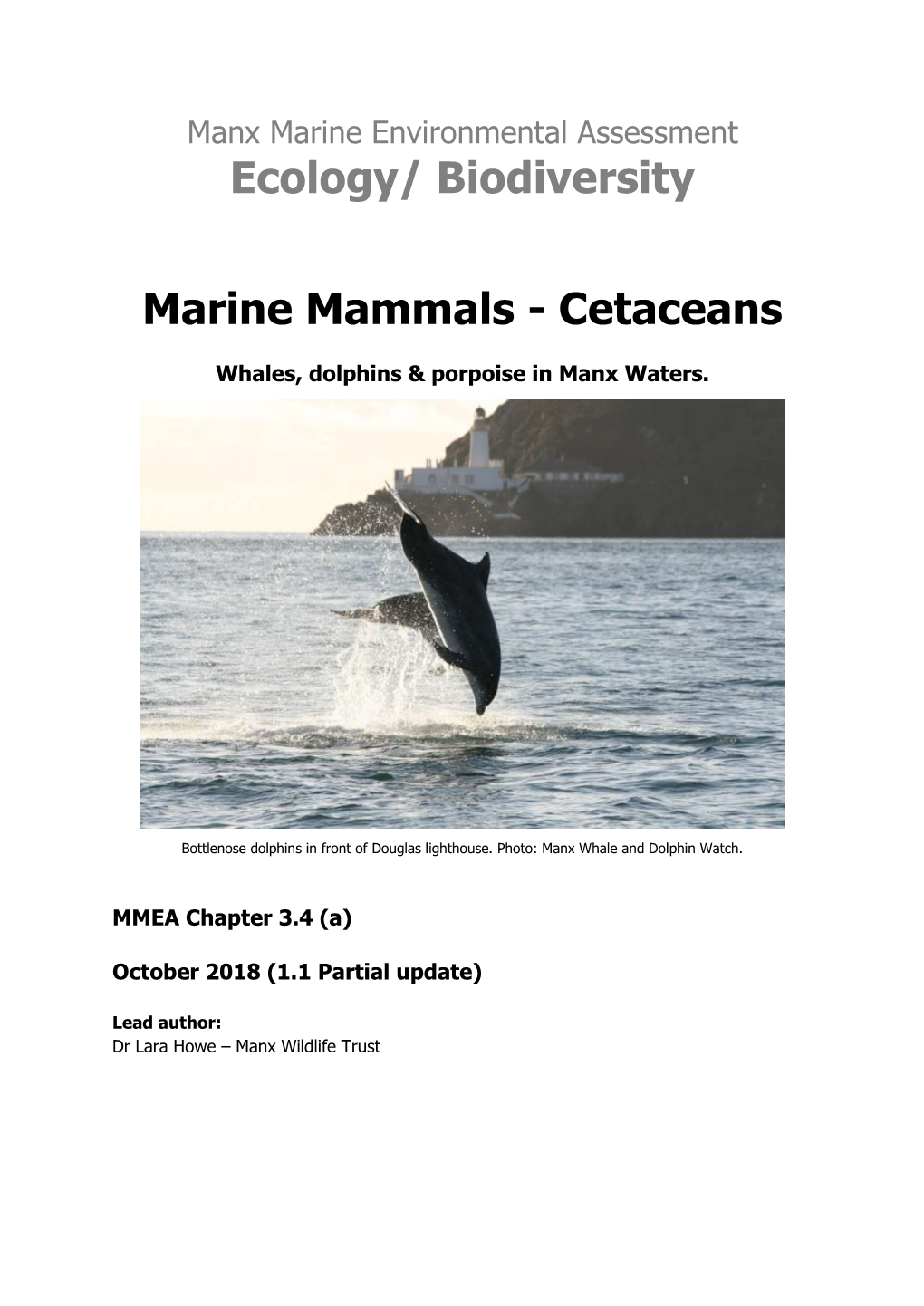 Marine Mammals - Cetaceans