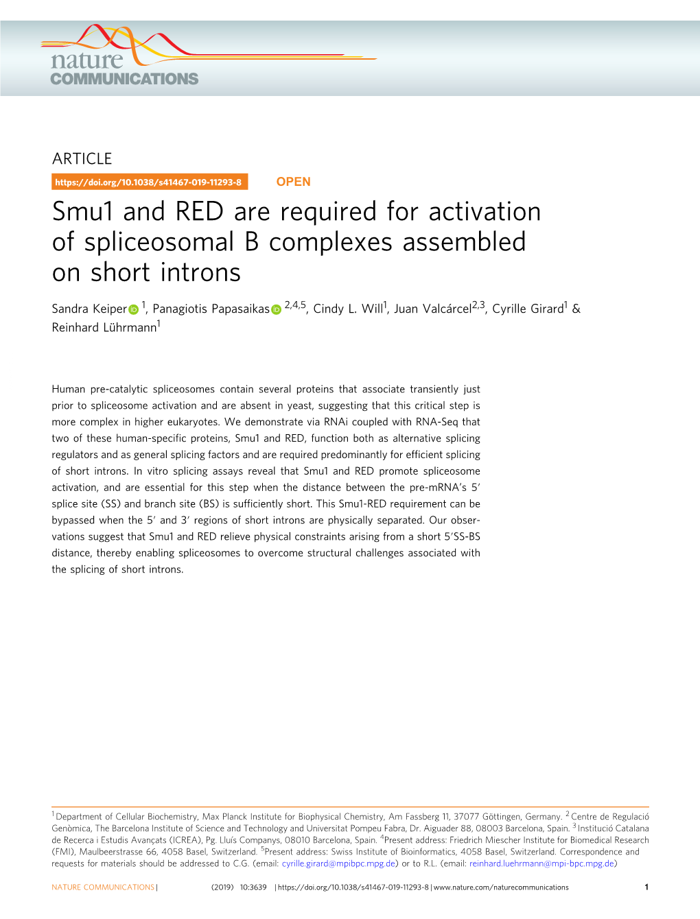 Smu1 and RED Are Required for Activation of Spliceosomal B Complexes Assembled on Short Introns