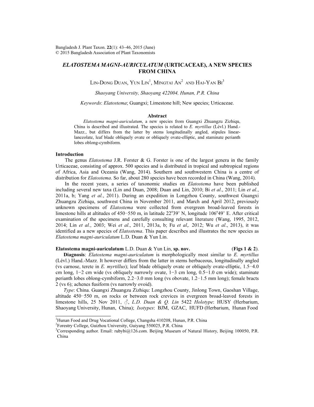 Elatostema Magni-Auriculatum (Urticaceae), a New Species from China