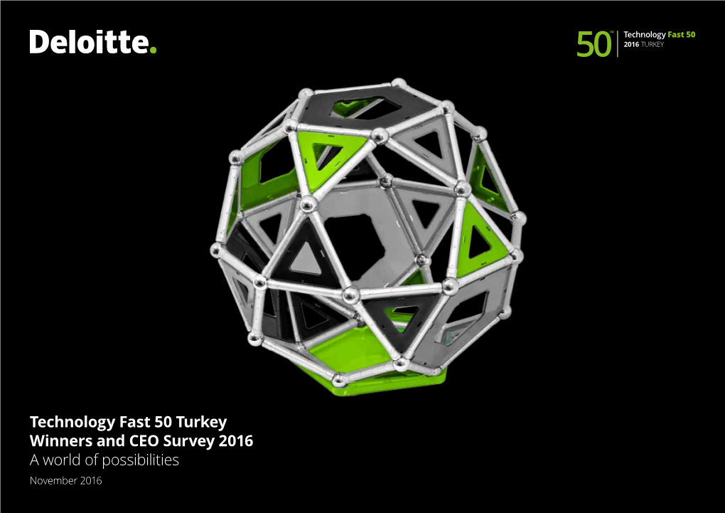 Technology Fast 50 Turkey Winners and CEO Survey 2016 A