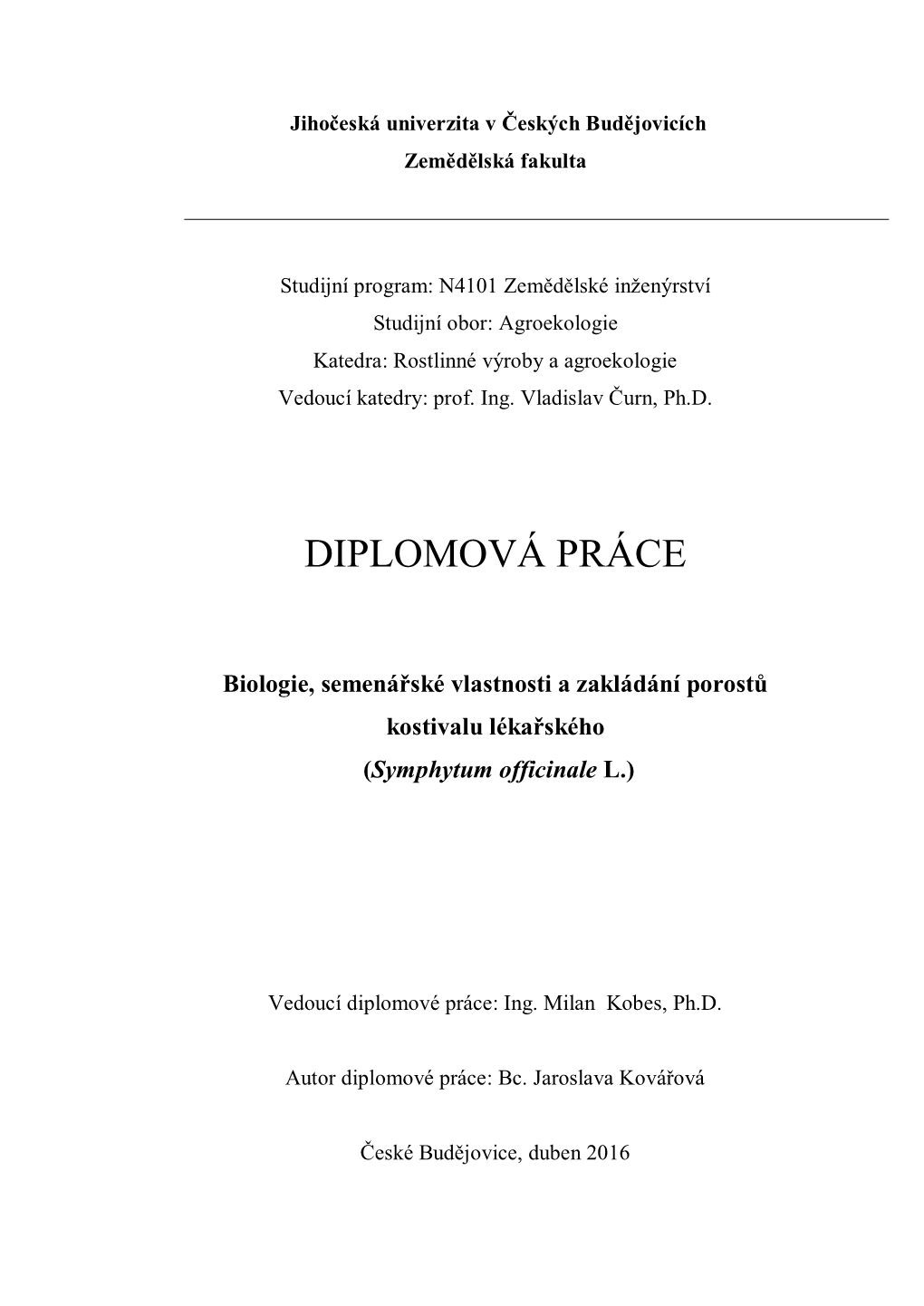 Diplomová Práce