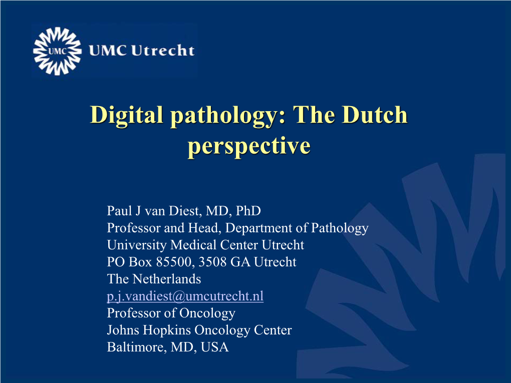 Digital Pathology: the Dutch Perspective
