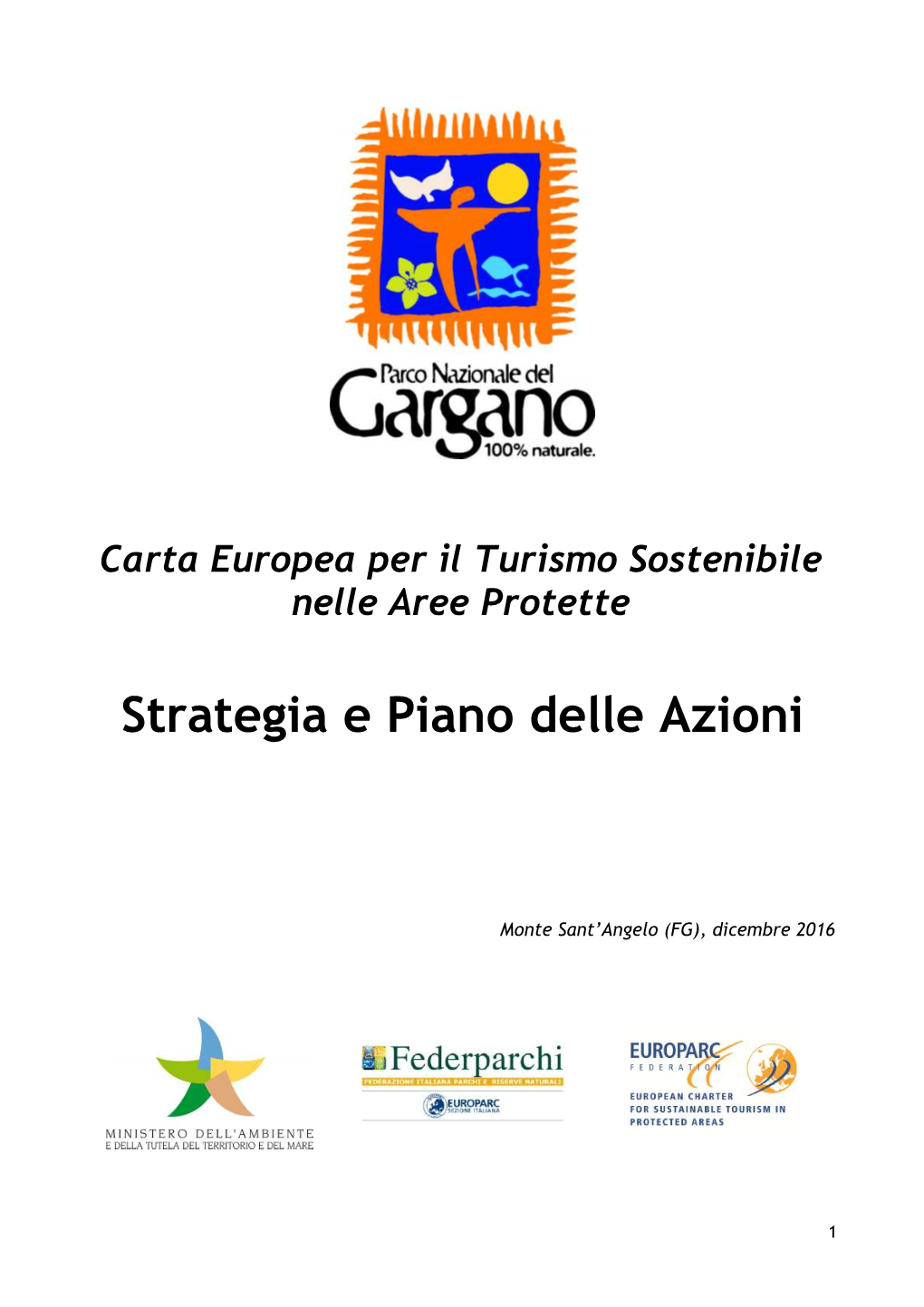 Strategia E Piano Delle Azioni