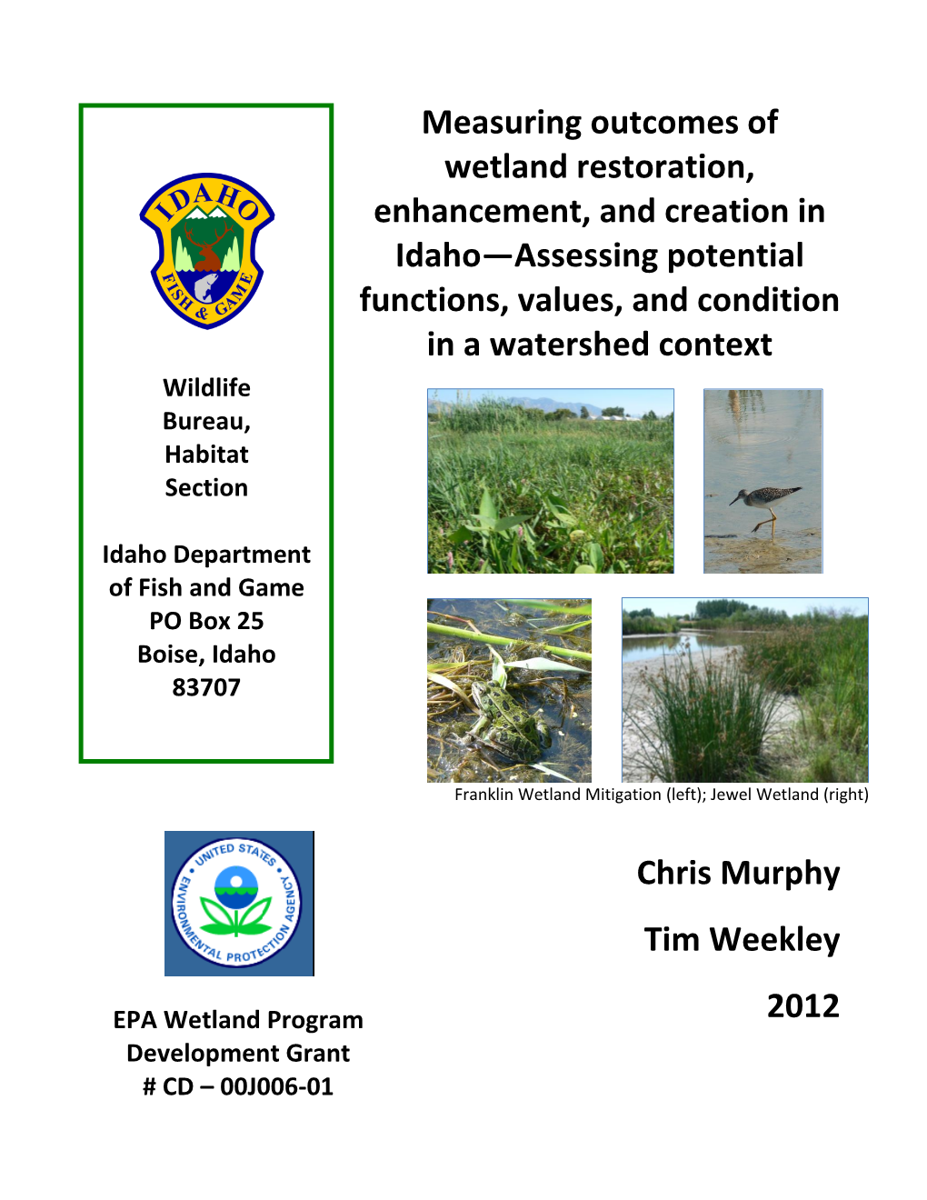 Measuring Outcomes of Wetland Restoration, Enhancement, and Creation in Idaho—Assessing Potential Functions, Values, and Condition