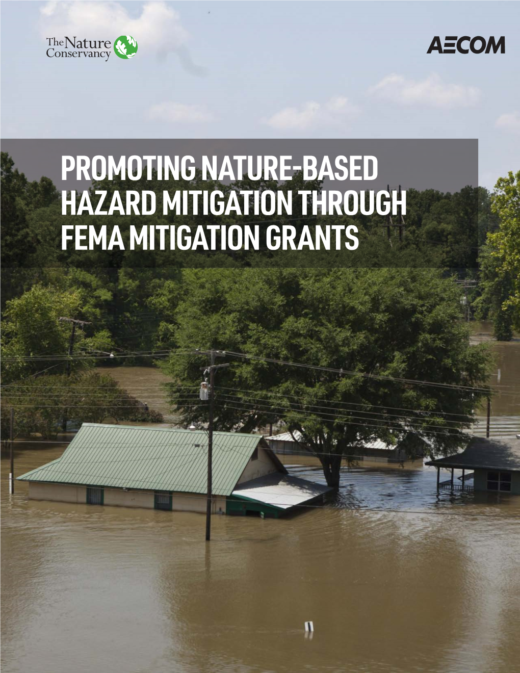 Nature Based Solutions FEMA