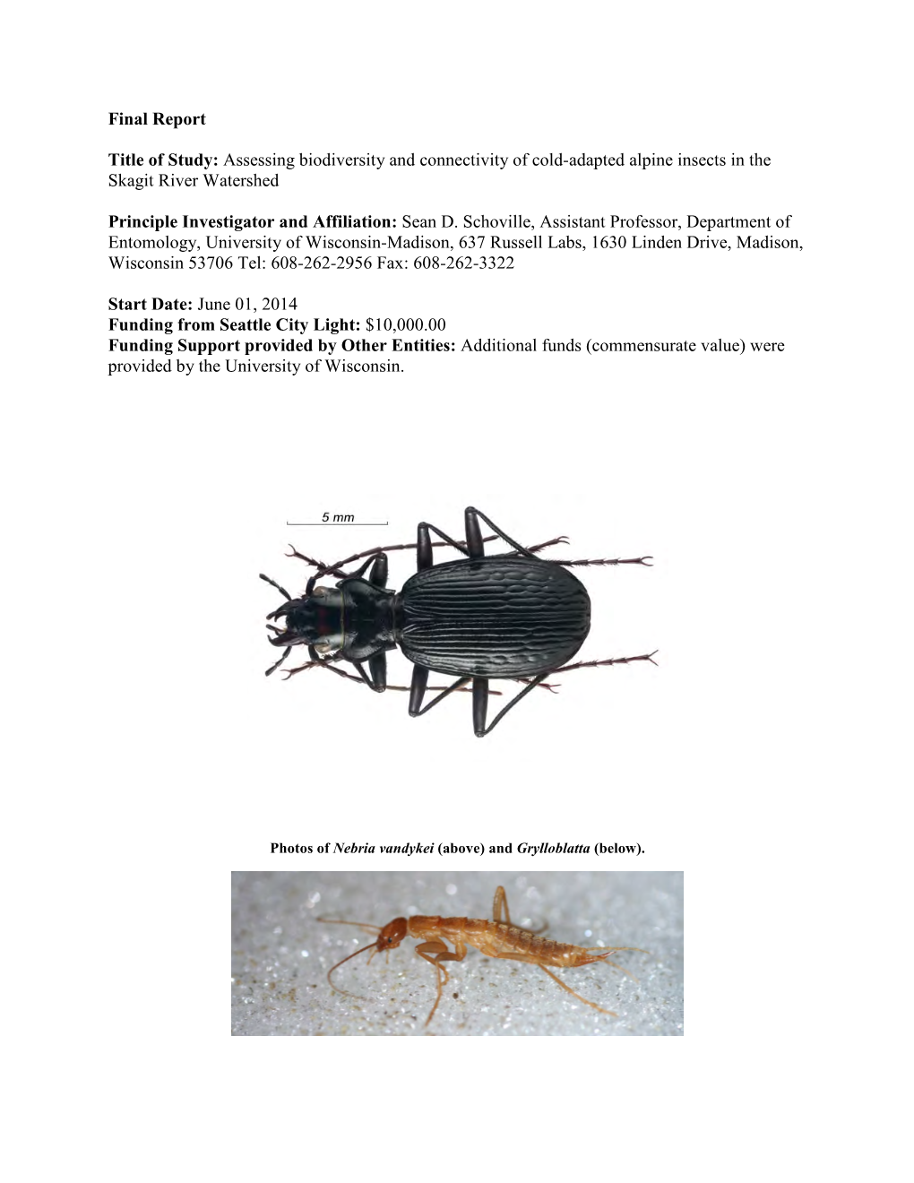 Assessing Biodiversity and Connectivity of Cold-Adapted Alpine Insects in the Skagit River Watershed