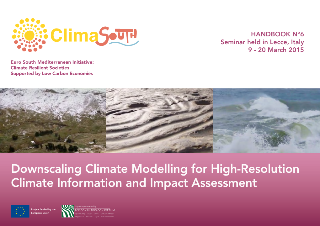 Downscaling Climate Modelling for High-Resolution Climate Information and Impact Assessment