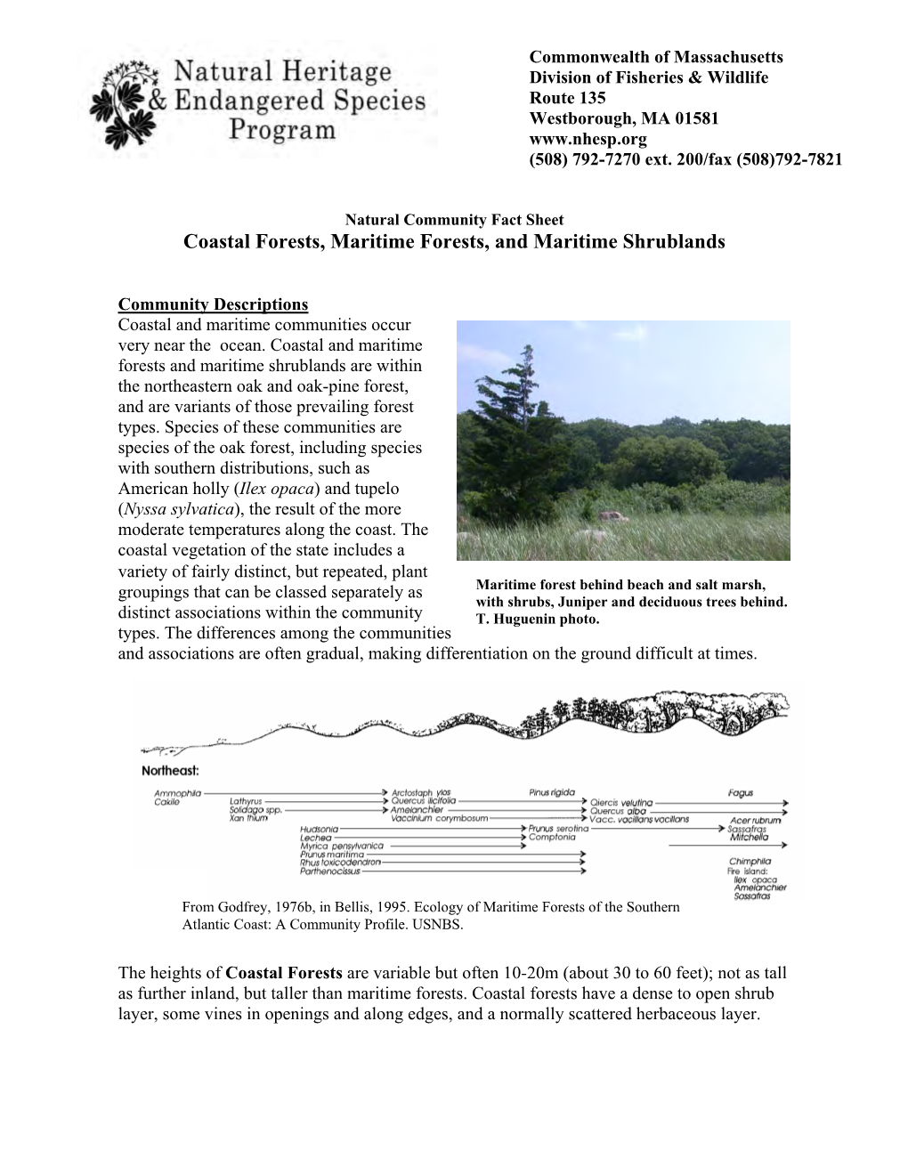 Natural Community Fact Sheet Coastal Forests, Maritime Forests, and Maritime Shrublands