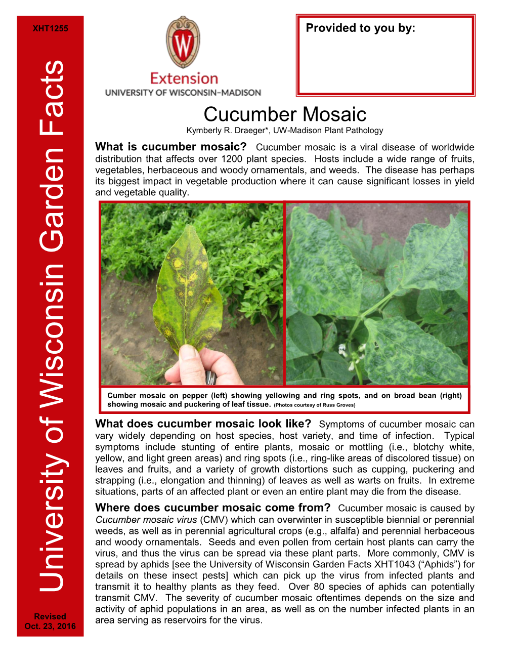 Cucumber Mosaic Kymberly R