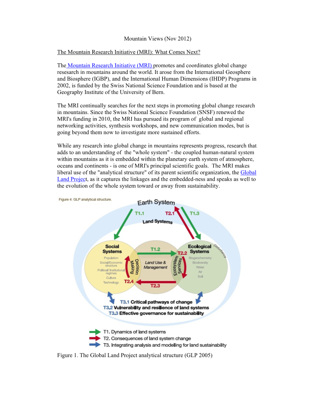 The Mountain Research Initiative (MRI): What Comes Next?