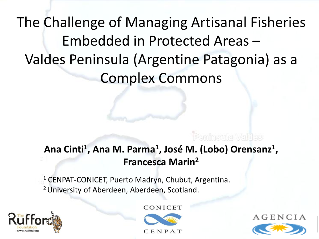 The Challenge of Managing Artisanal Fisheries Embedded in Protected Areas – Valdes Peninsula (Argentine Patagonia) As a Complex Commons