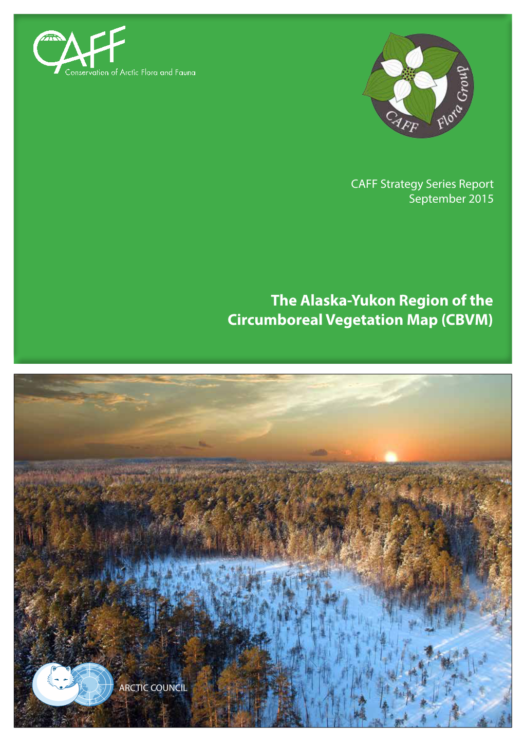 The Alaska-Yukon Region of the Circumboreal Vegetation Map (CBVM)